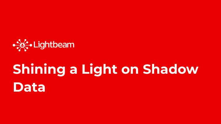 Shining a Light on Shadow Data